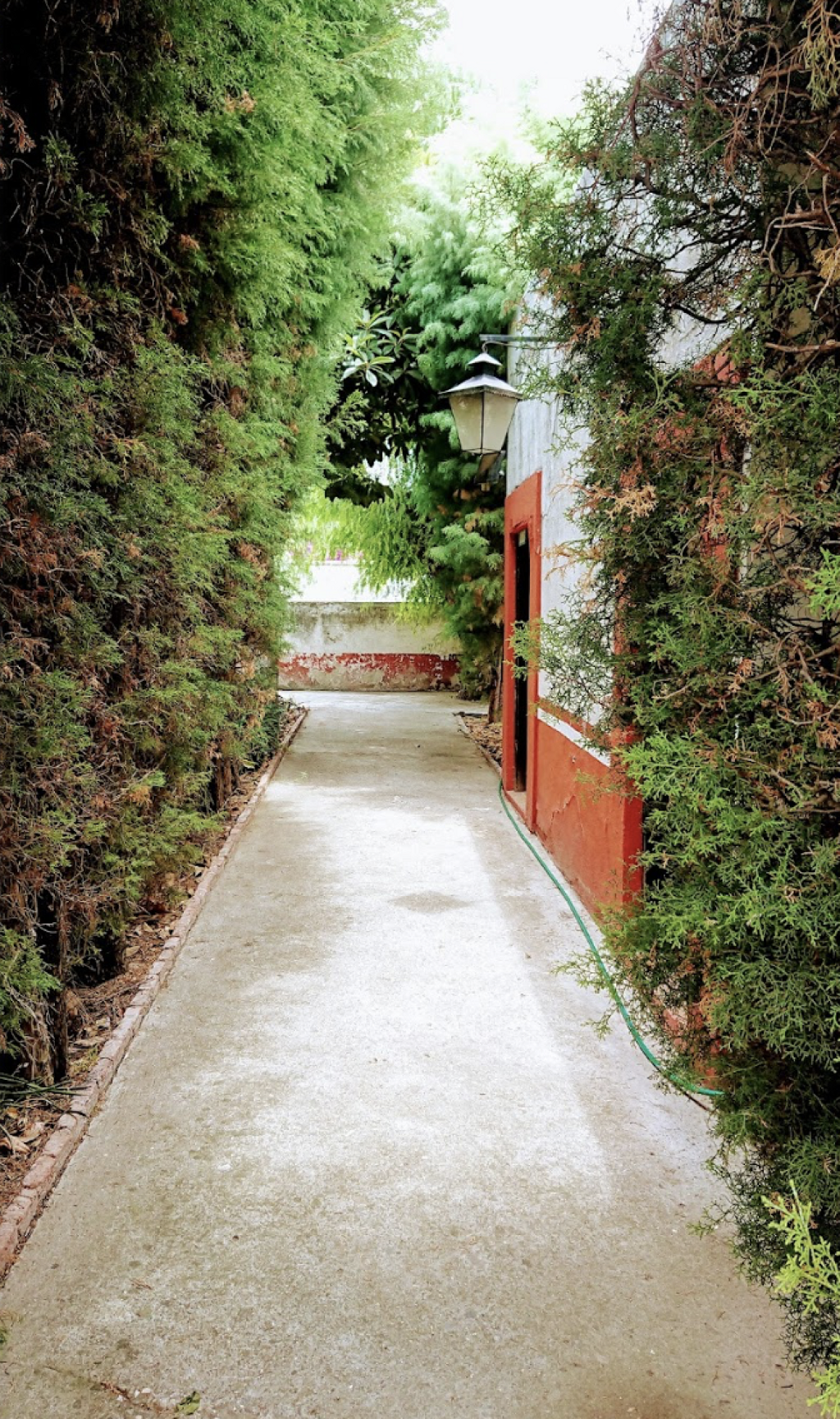Museo Casa del Dr. José María Luis Mora -2