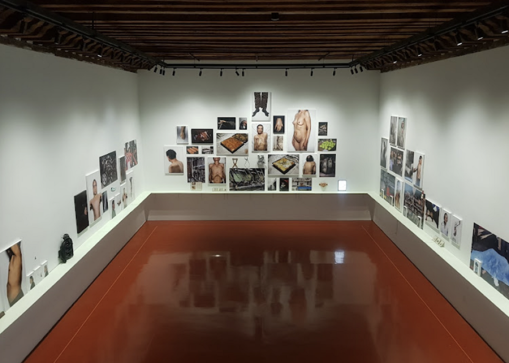Museo Centro de la Imagen-2