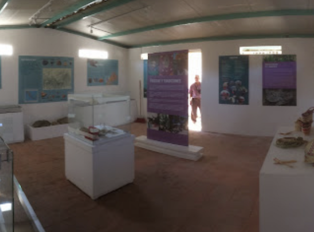 Museo Comunitario Aztlan-0