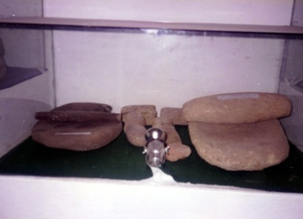 Museo Comunitario de Santos Reyes Tepejillo-1