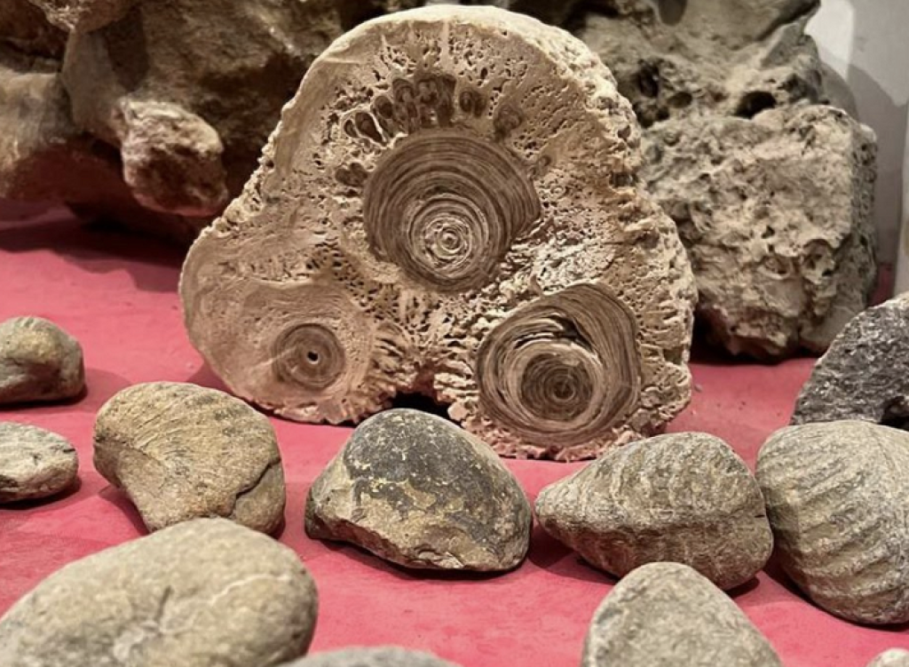 Museo Comunitario del Mármol-1