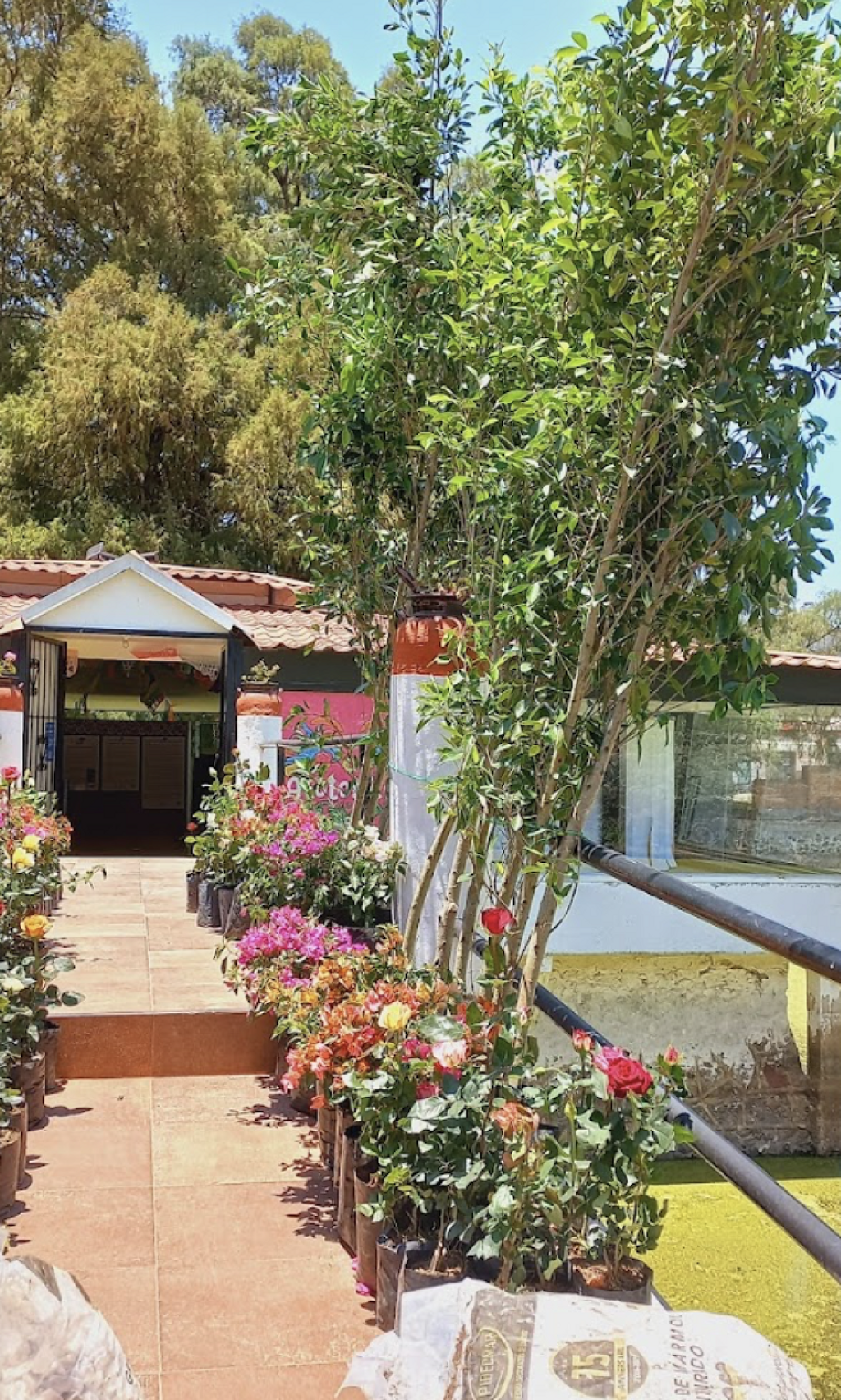 Museo Comunitario El Jagüey-0