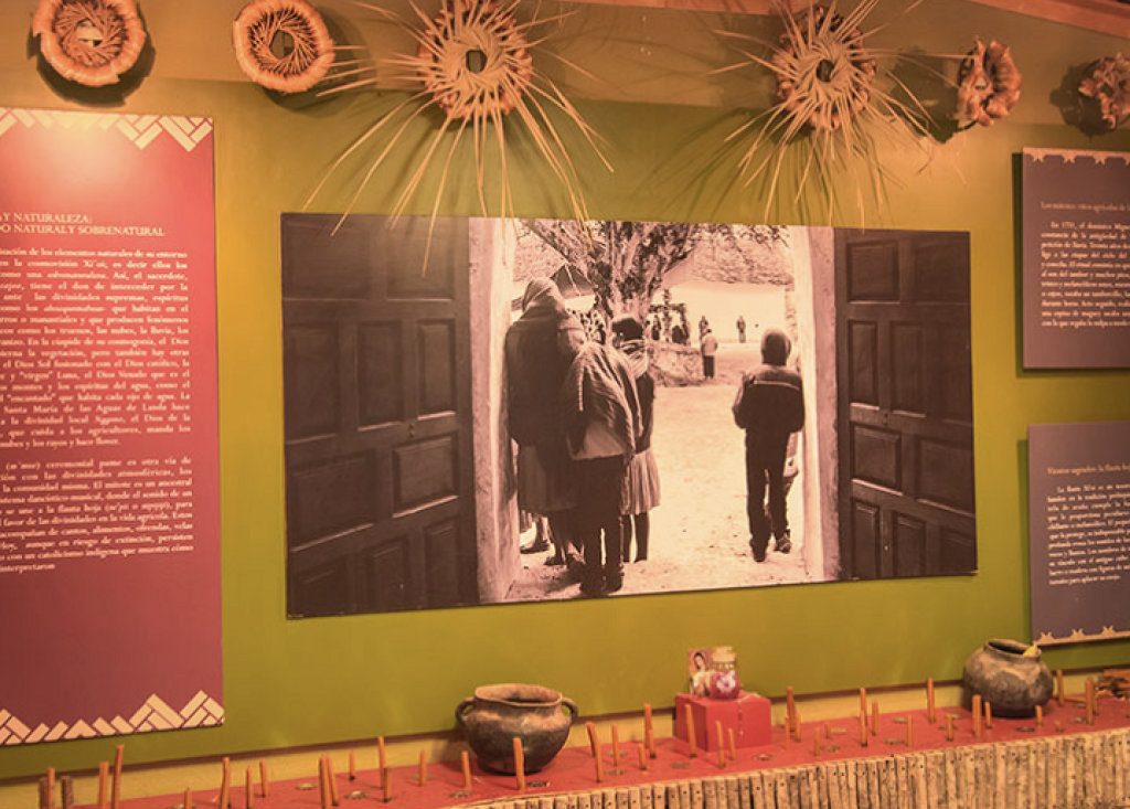 Museo Comunitario Pame Xi’oi -0