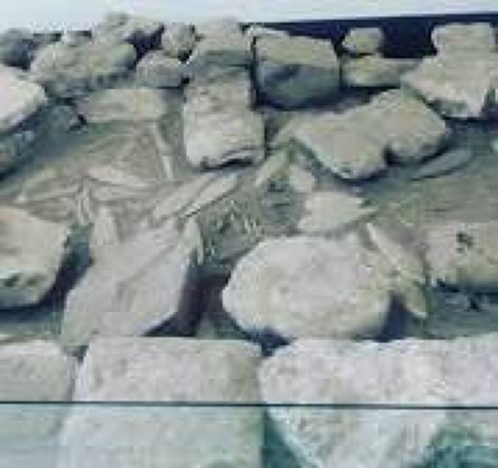 Museo Comunitario Renacimiento Indígena-0