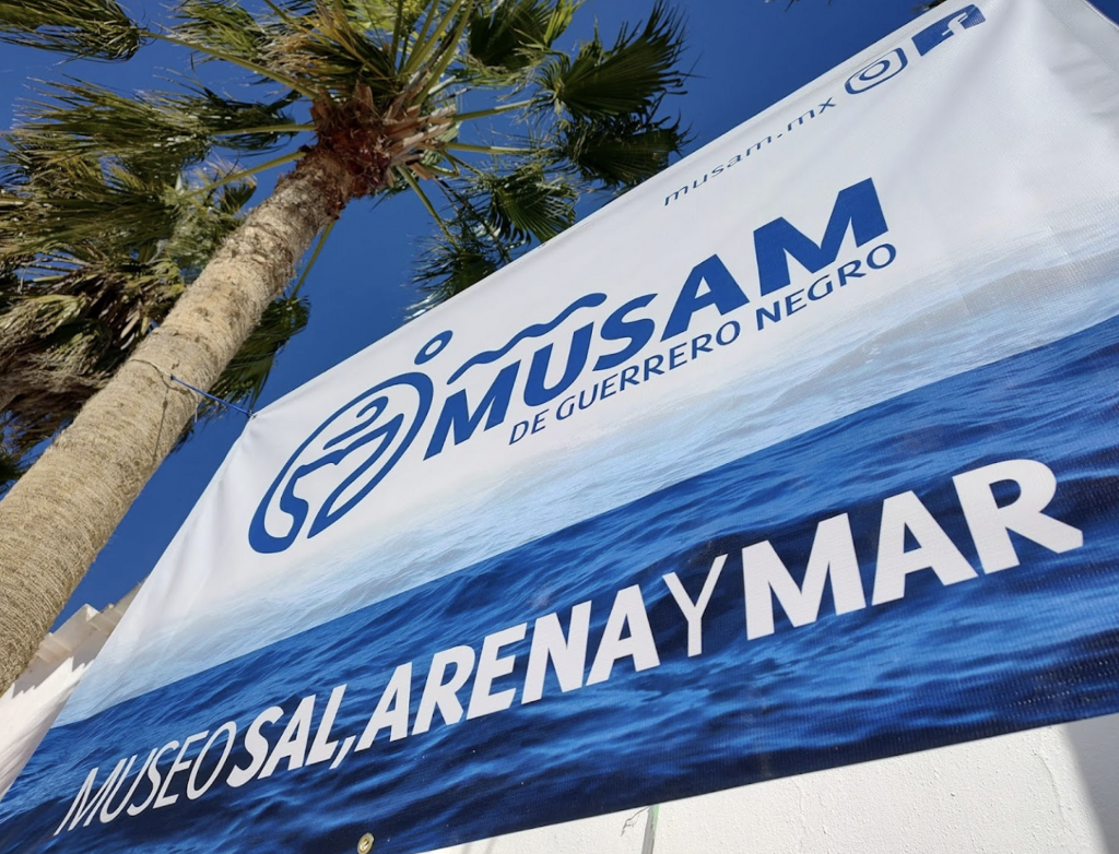 Museo Comunitario Sal, Arena y Mar (MUSAM)-3
