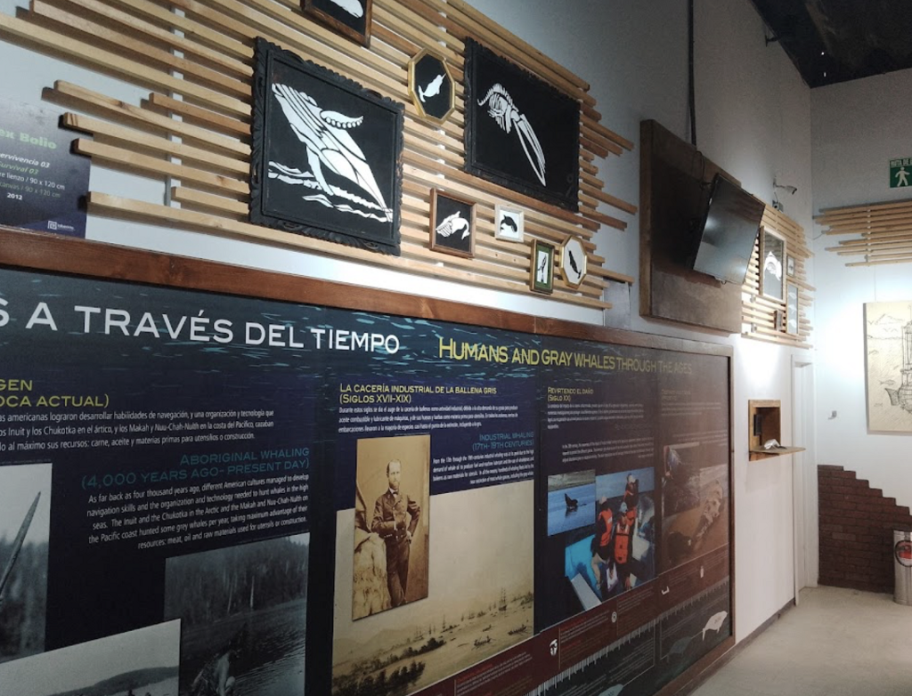 Museo Comunitario Sal, Arena y Mar (MUSAM)-0