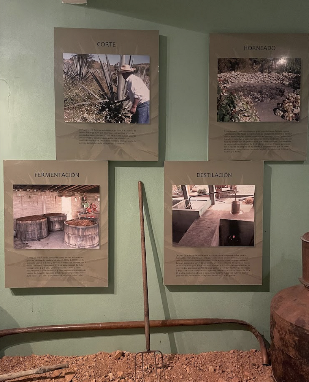Museo Comunitario Ta Guiil-Reiñ (Cerro de Sangre)-1