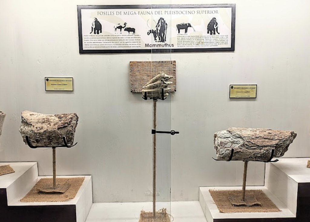Museo Costumbrista de Tesopaco-1