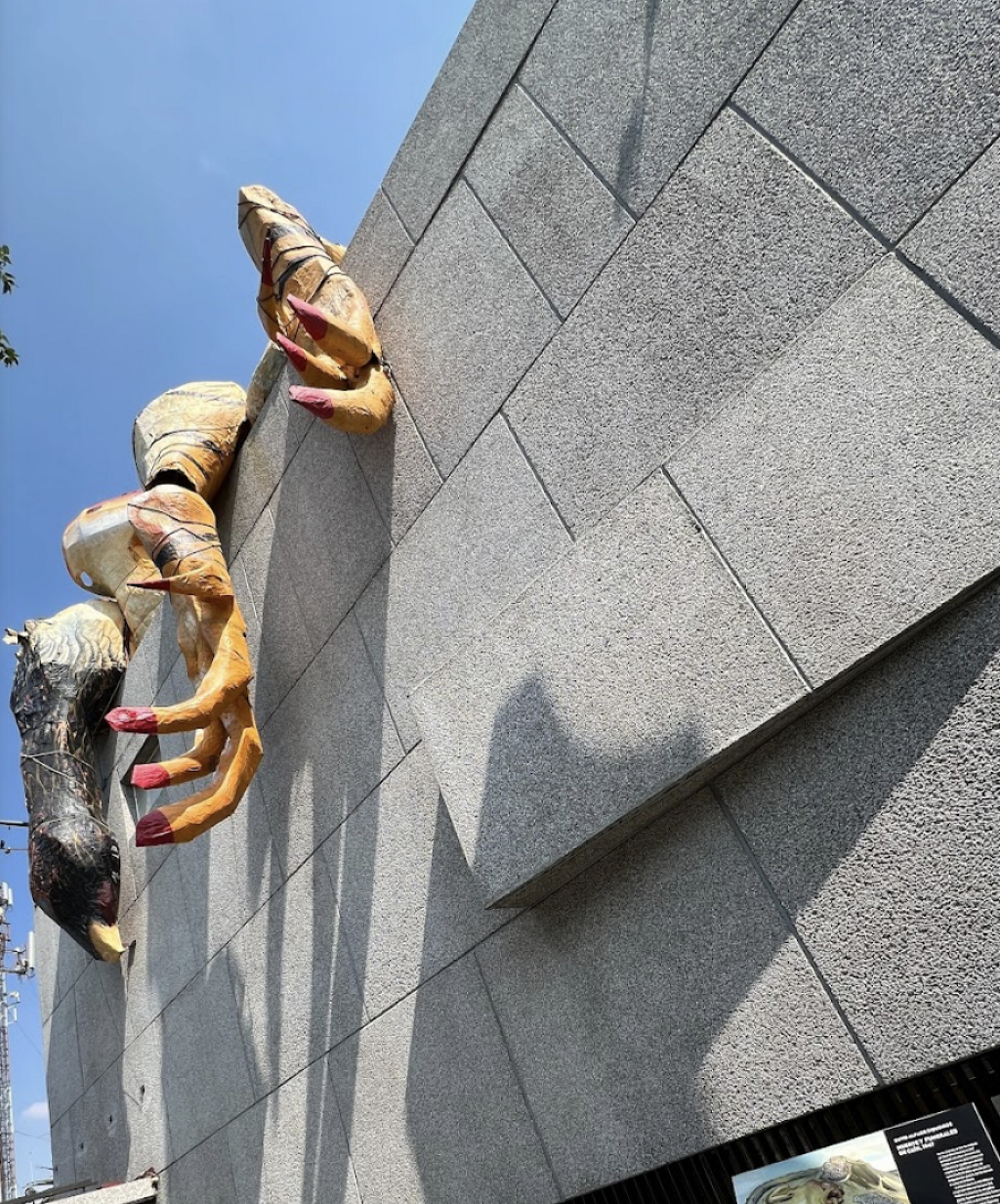 Museo de Arte Alvar y Carmen T. de Carrillo Gil-3
