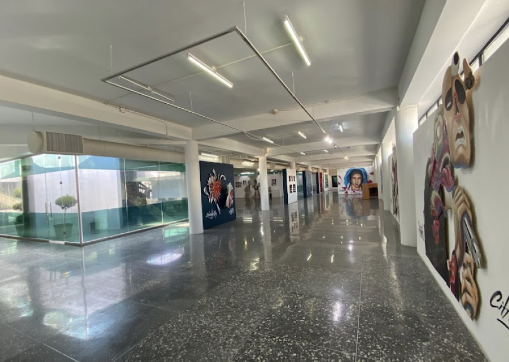 Museo de Arte de Nogales-1