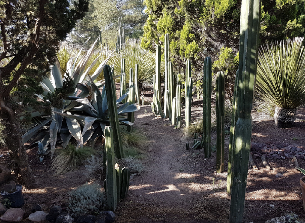 Museo de Arte Popular Rancho Jaguar-1