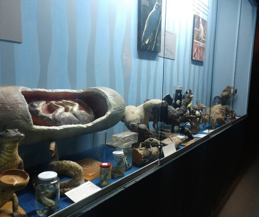 Museo Biológico-1