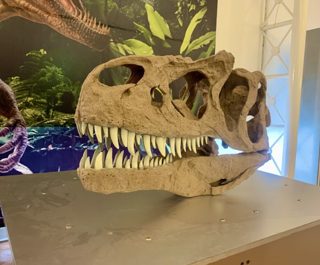 Museo de Ciencias del Estado de Morelos-0