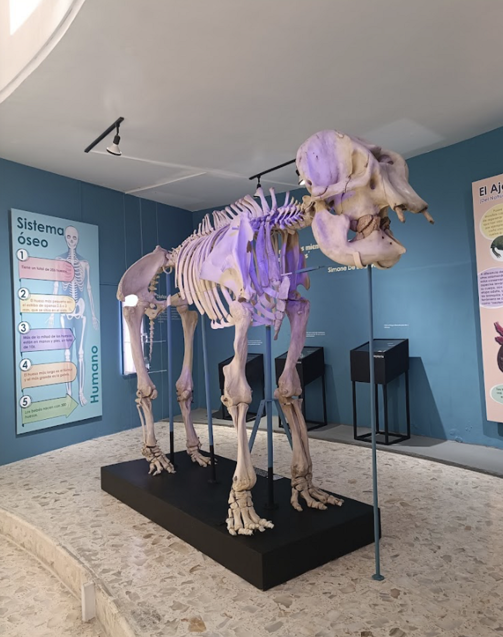 Museo de Ciencias Naturales Edomex.-1