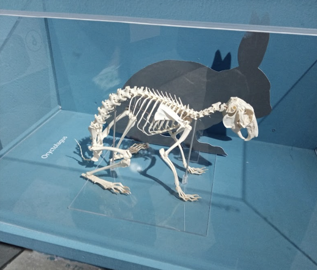 Museo de Ciencias Naturales Edomex.-2