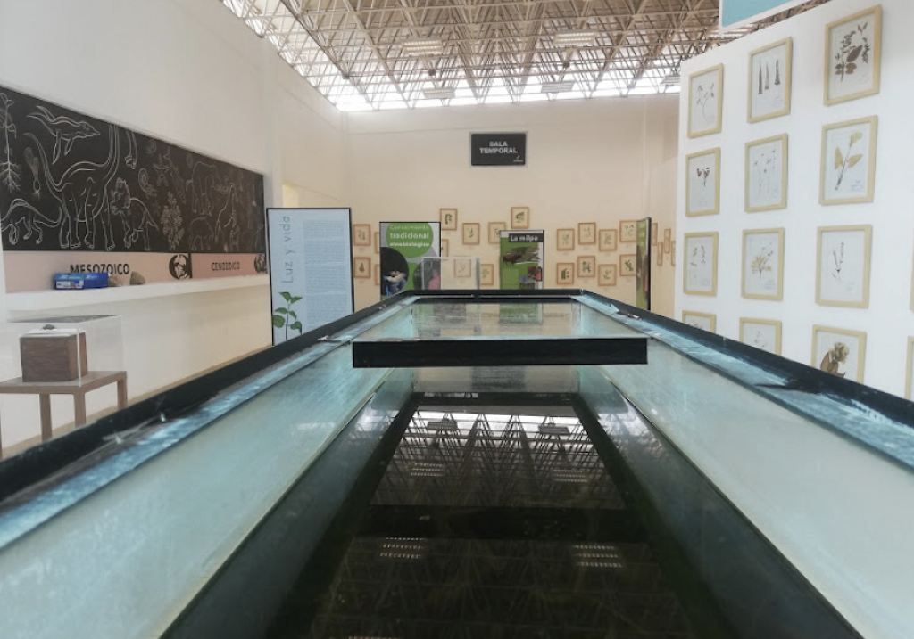 Museo de Ciencias XIMHAI-1