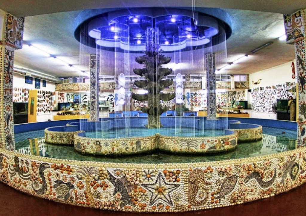 Museo de Conchas-0