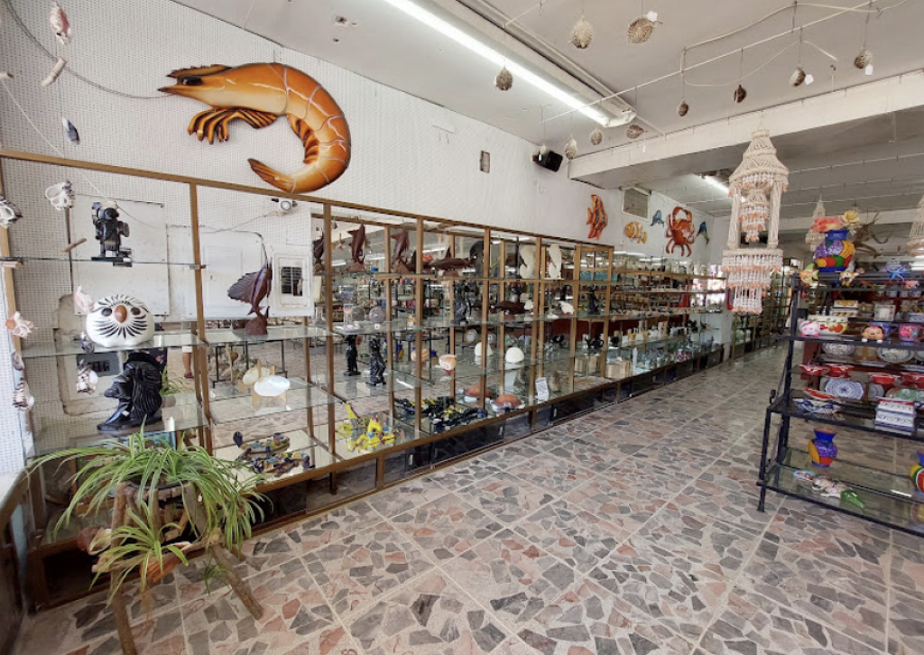 Museo de Conchas-1