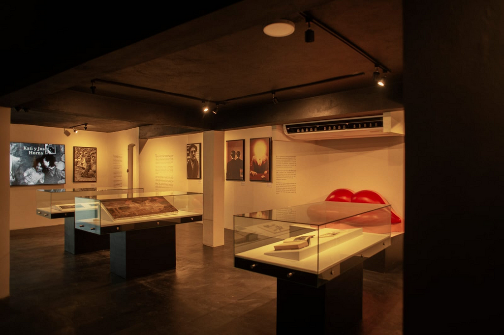 Museo Edward James-2