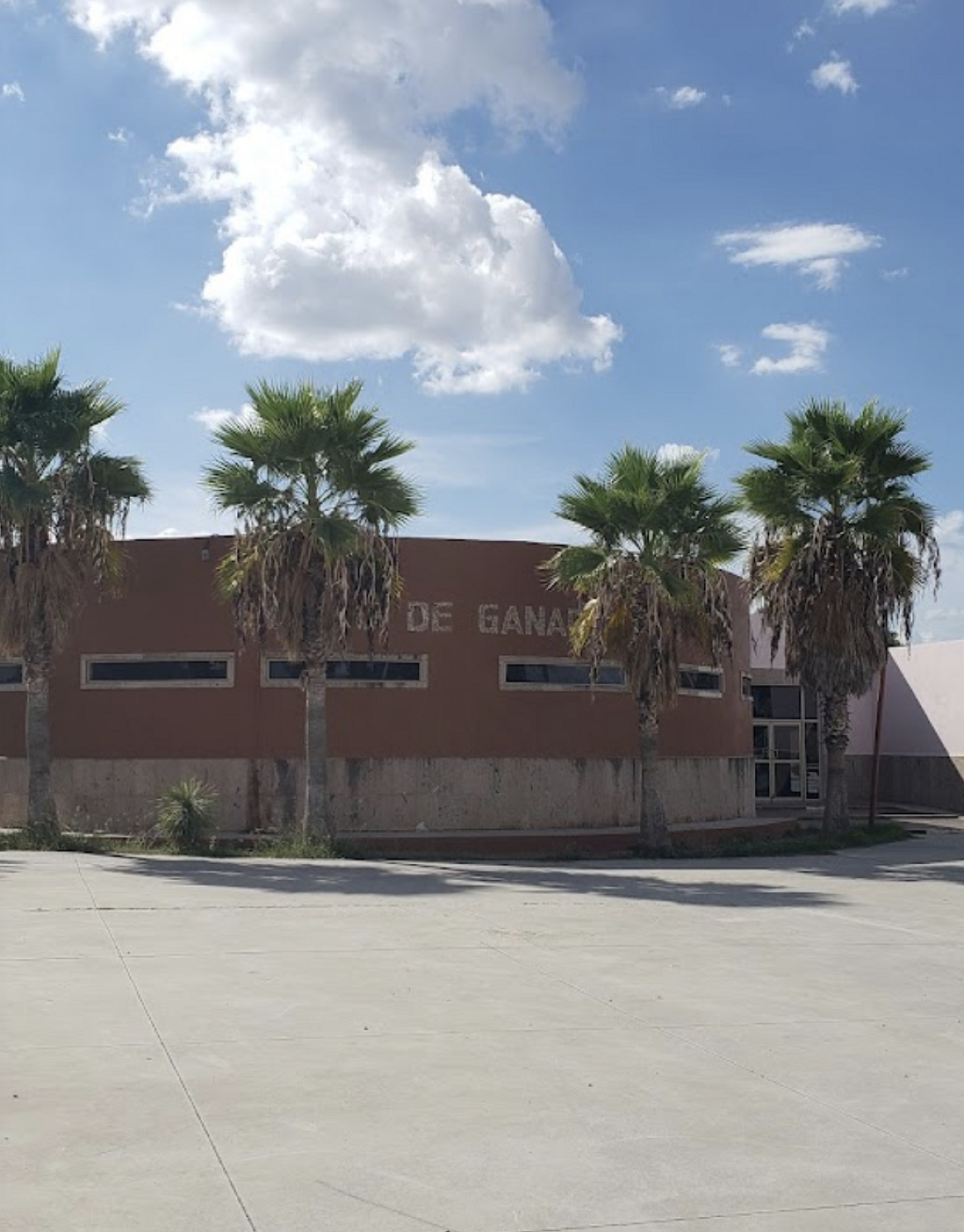 Museo de Ganadería-0