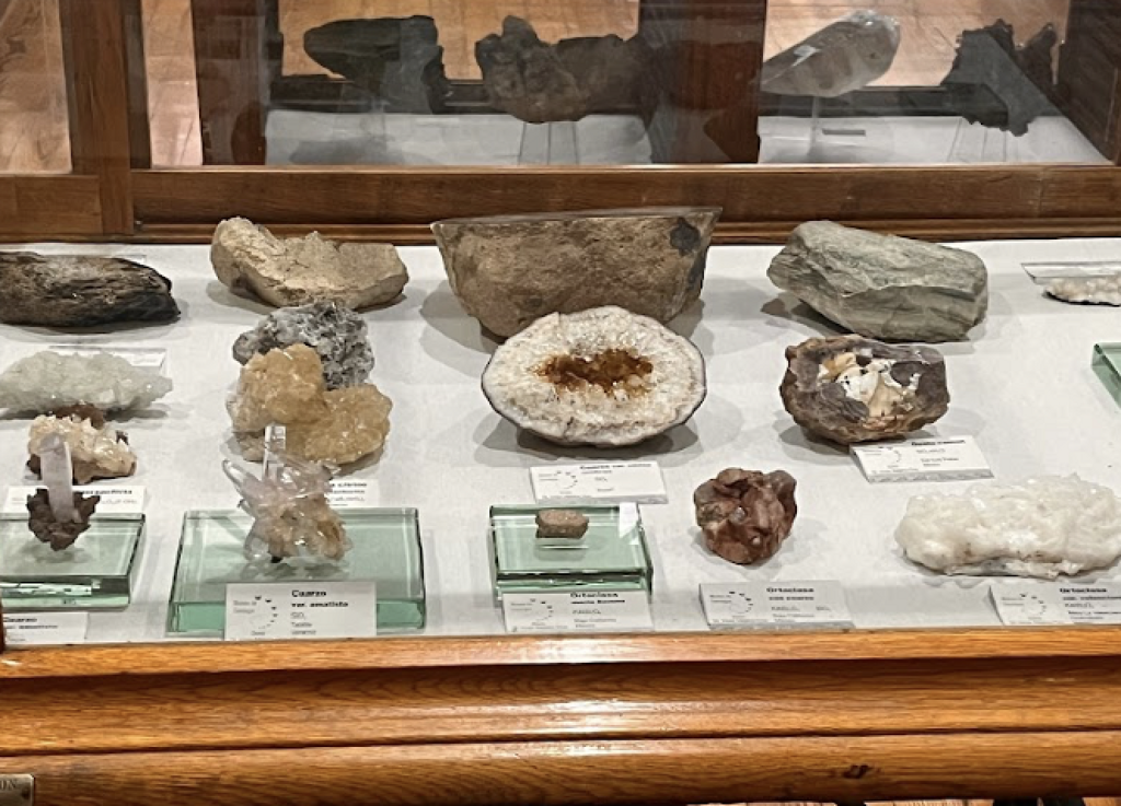 Museo de Geología y Mineralogía Dr. Jenaro González Reyna-0
