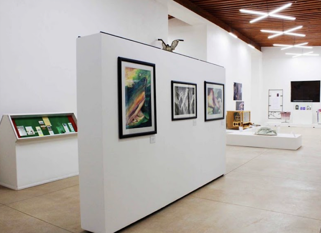 Museo de Historia, Artes y Tradiciones Carlos González-0