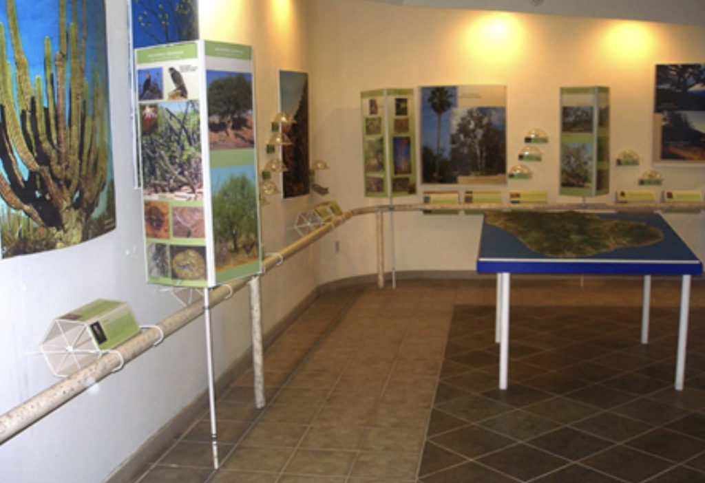 Museo de Historia Natural de Cabo San Lucas-0