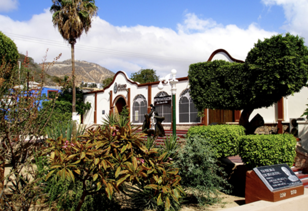 Museo de Historia Natural de Cabo San Lucas-1