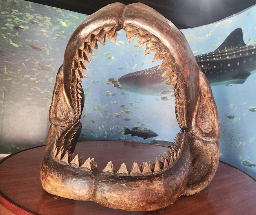 Museo de Historia Natural de Ecatepec -0