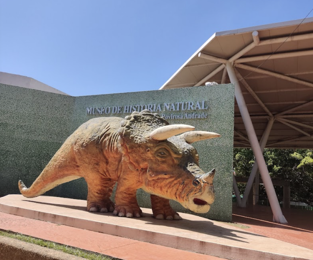 Museo de Historia Natural José Narciso Rovirosa Andrade-4