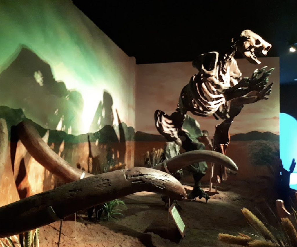Museo de Historia Natural José Narciso Rovirosa Andrade-0