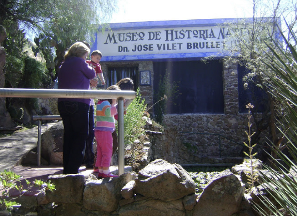 Museo de Historia Natural José Vilet Brullet -1