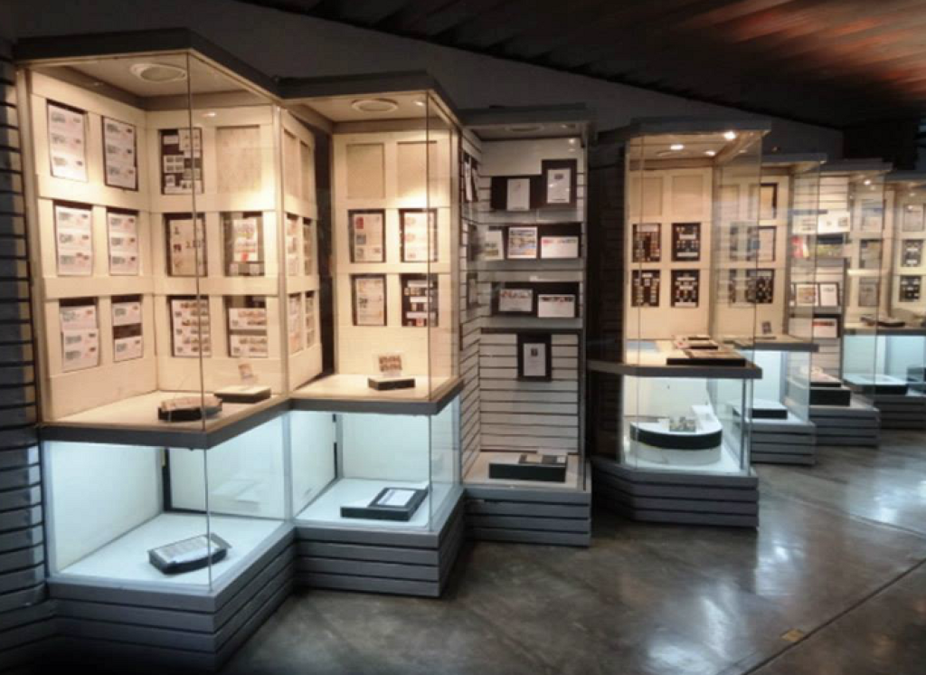 Museo de Historia Natural José Vilet Brullet -2