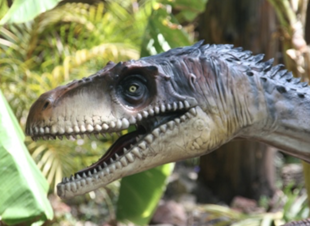 Museo de Historia Natural Manuel Martínez Solórzano-0