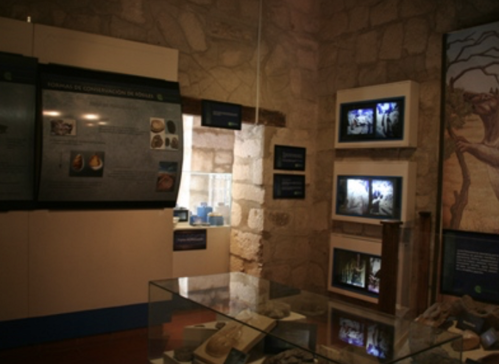 Museo de Historia Natural Manuel Martínez Solórzano-2