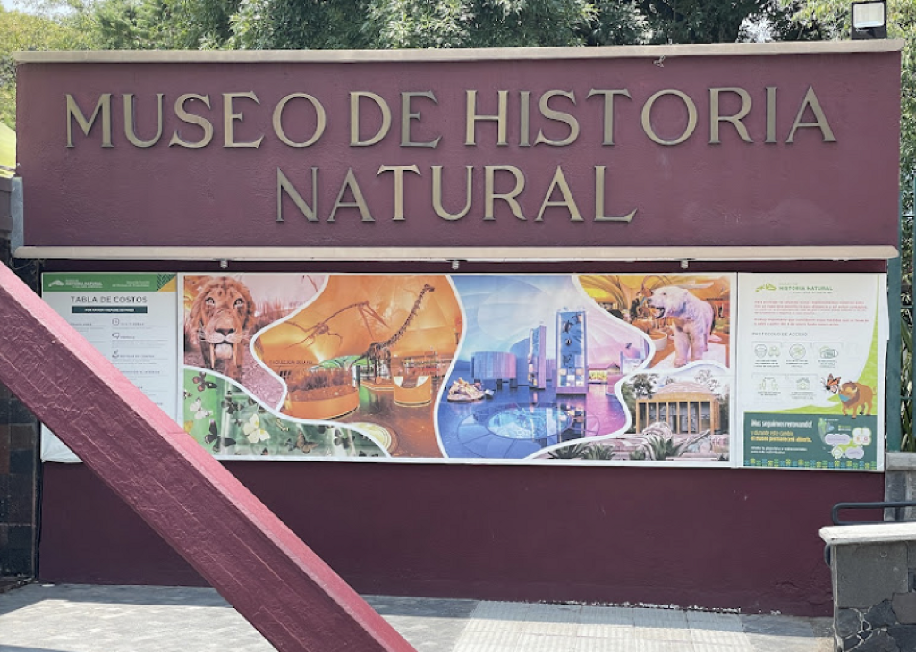 Museo de Historia Natural y Cultura Ambiental-2