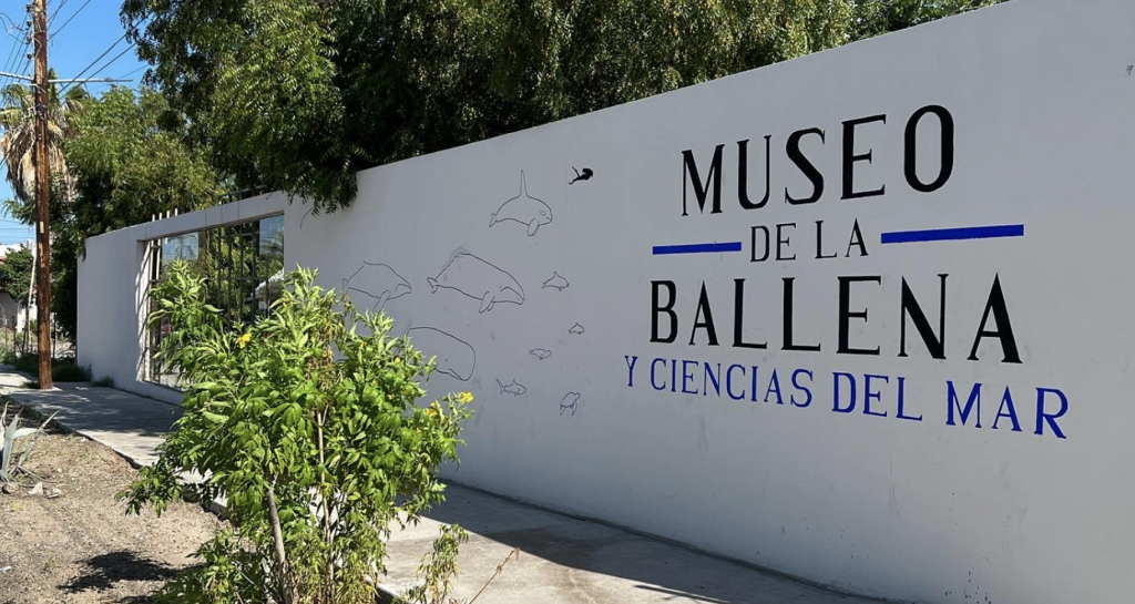 Museo de la Ballena y Ciencias del Mar-2