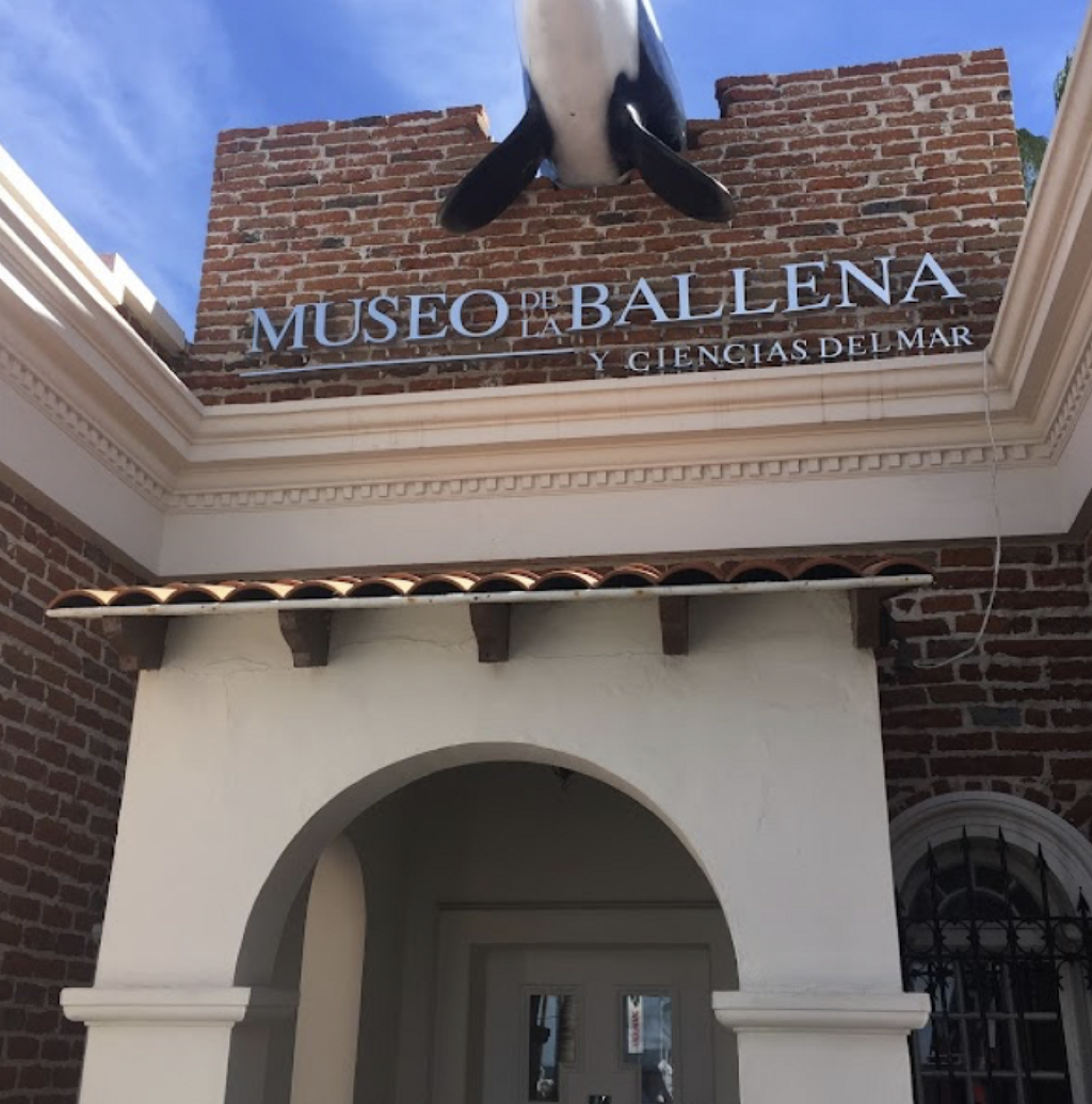 Museo de la Ballena y Ciencias del Mar-0
