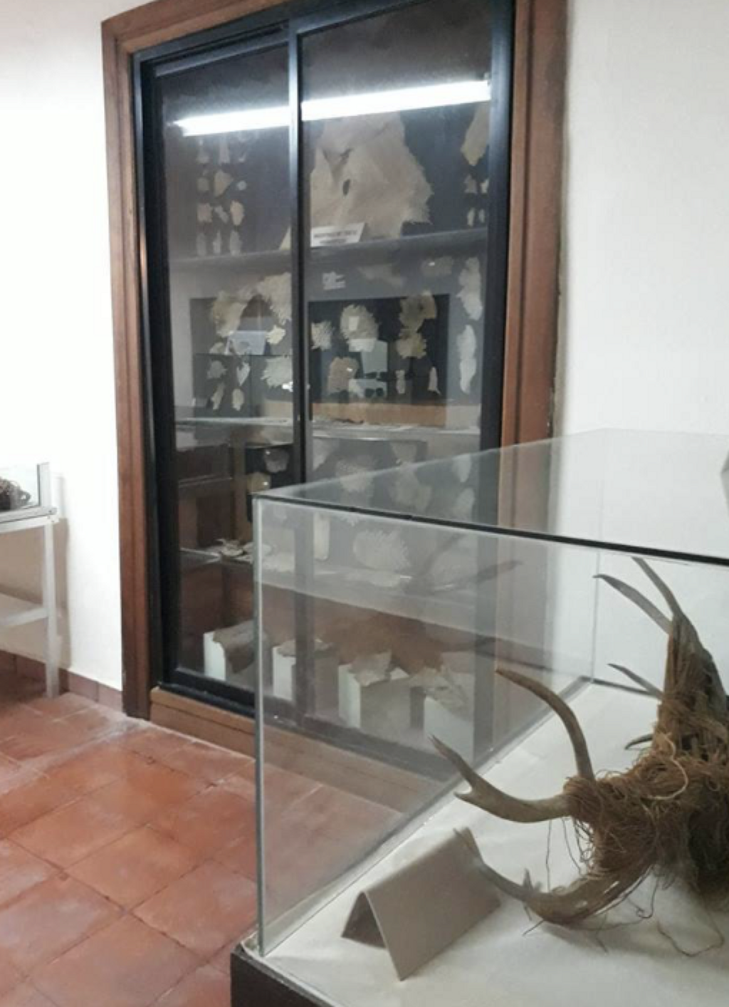 Museo de la Casa de la Cultura de Cuatro Ciénegas-1