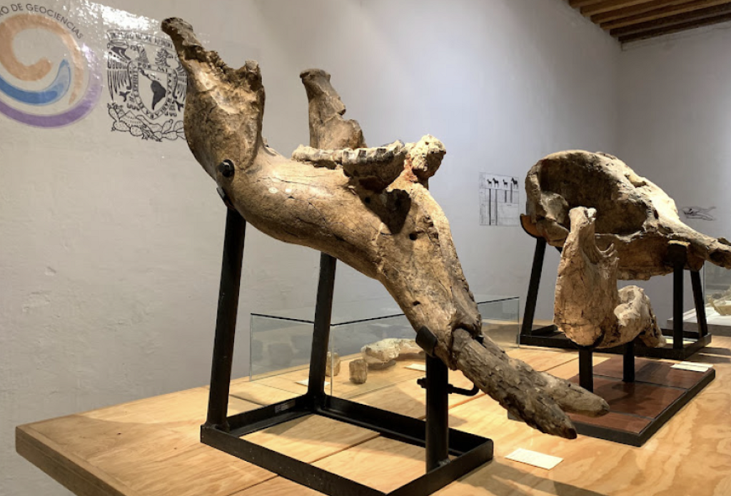 Museo de la Ciudad -0