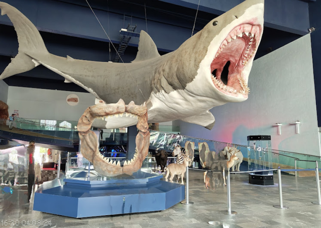 Museo de la Evolución Puebla-0