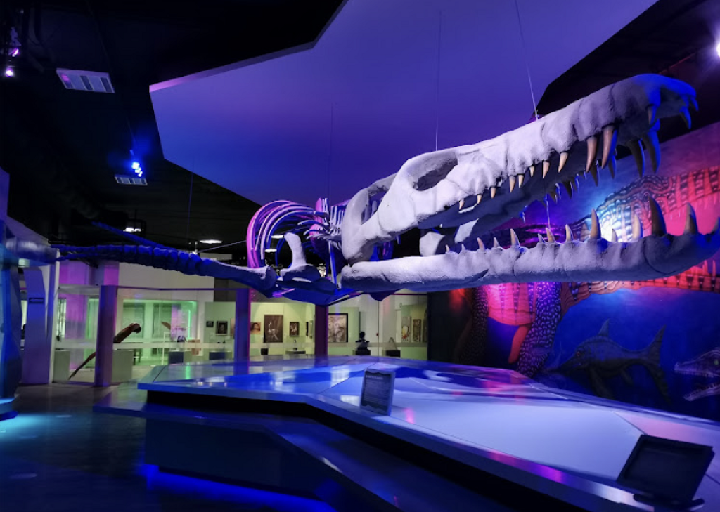 Museo de la Evolución Puebla-1