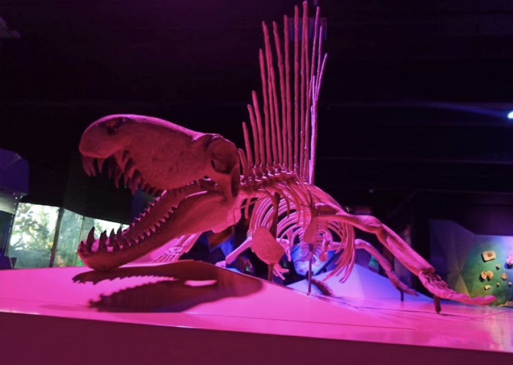Museo de la Evolución Puebla-2