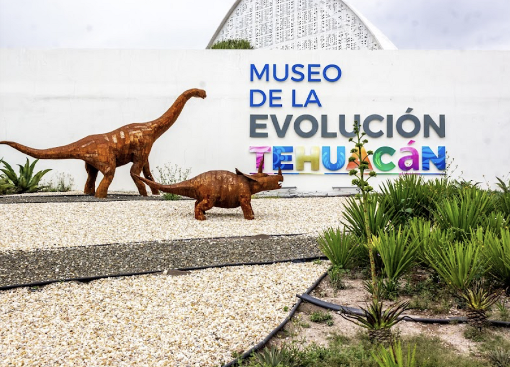 Museo de la Evolución Tehuacán-5
