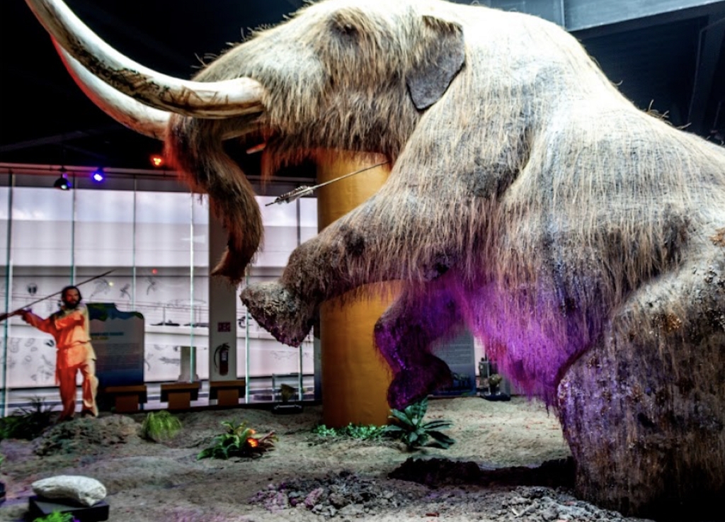 Museo de la Evolución Tehuacán-2