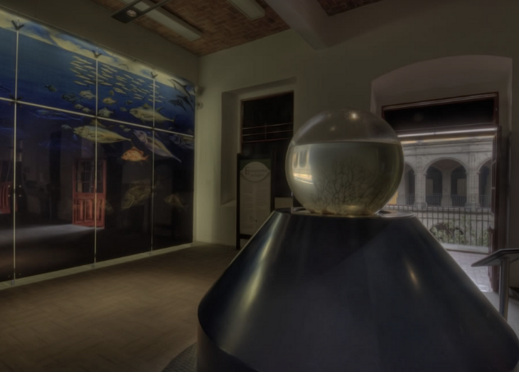 Museo de la Luz-3