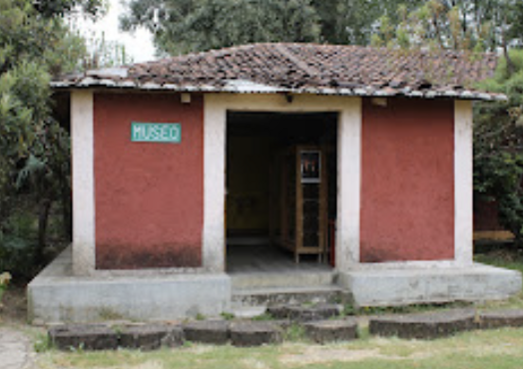 Museo de la Medicina Maya-0