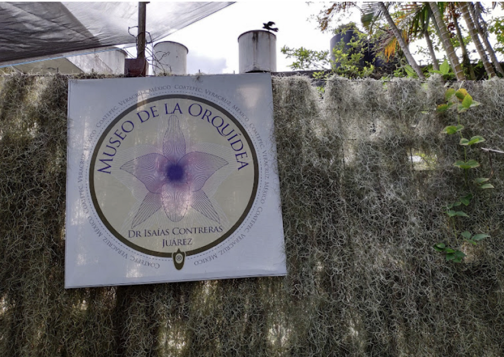 Museo de la Orquídea Dr. Isaías Contreras Juárez-1