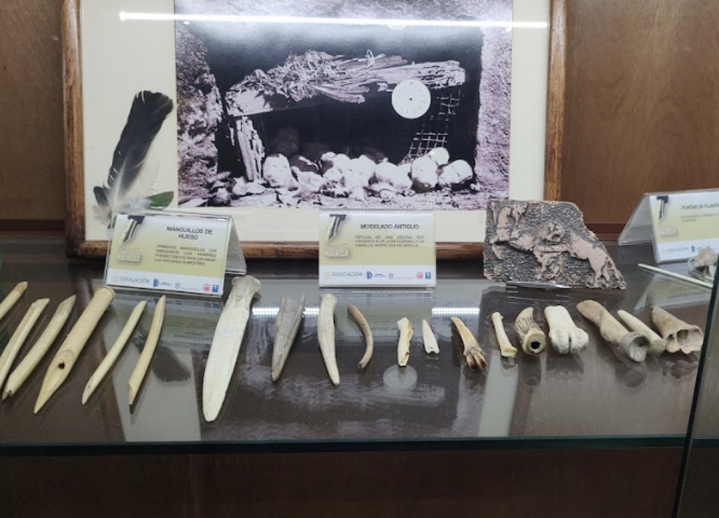 Museo de la Pluma. Ing. Jesús Humberto Rodríguez Lozano-0