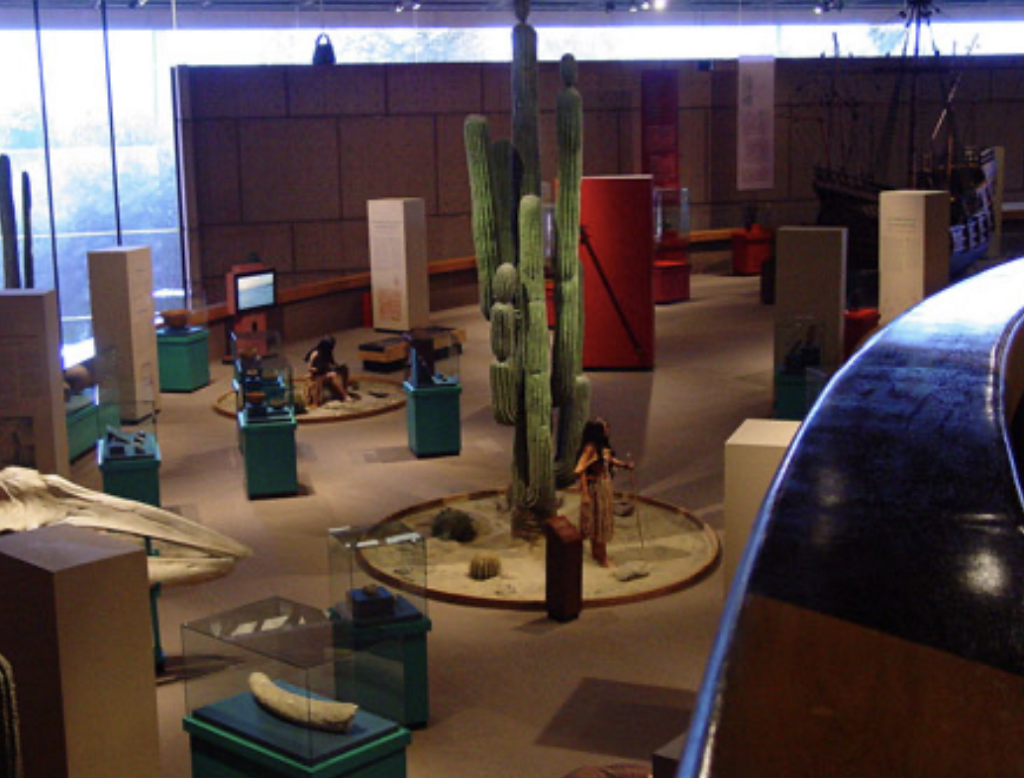 Museo de las Californias-1